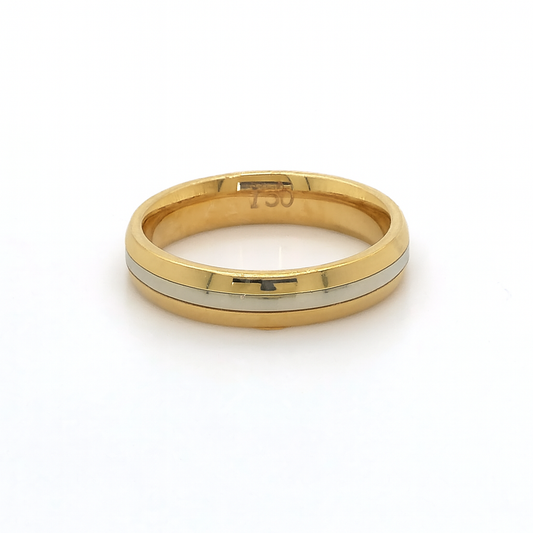 18K 2T MATTE FANCY BAND