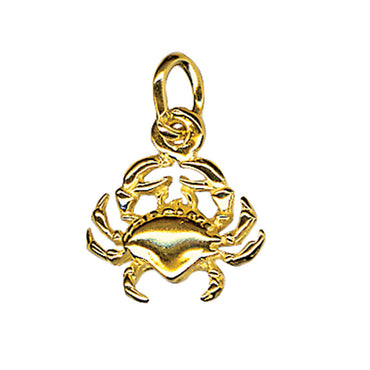 Cancer Zodiac Charm