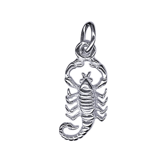 Scorpio Zodiac Charm