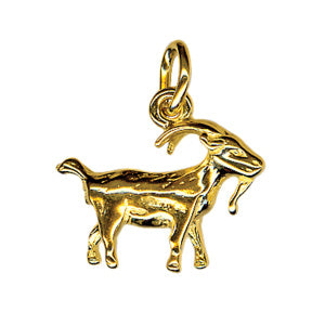 Capricorn Zodiac Charm