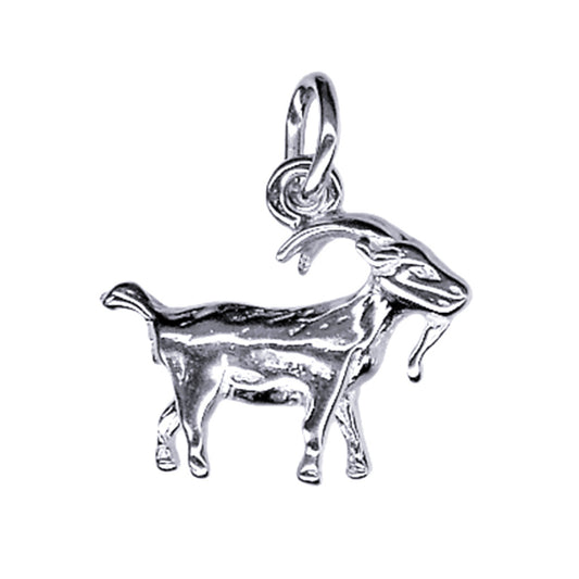 Capricorn Zodiac Charm