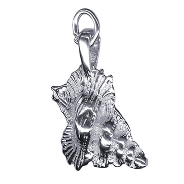 Shell Charm 20mm x 12mm