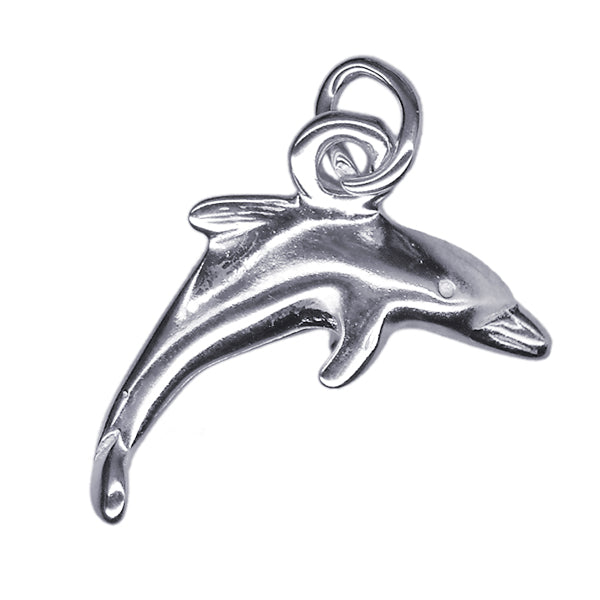 Dolphin Charm