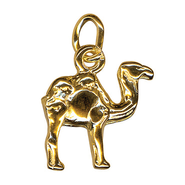 Camel Charm