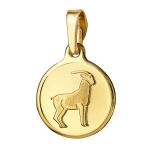 Capricorn 12mm Round Zodiac