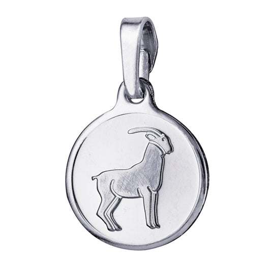 Capricorn 12mm Round Zodiac