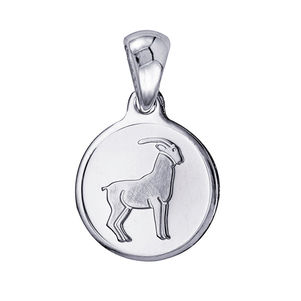Capricorn Zodiac Charm 12mm