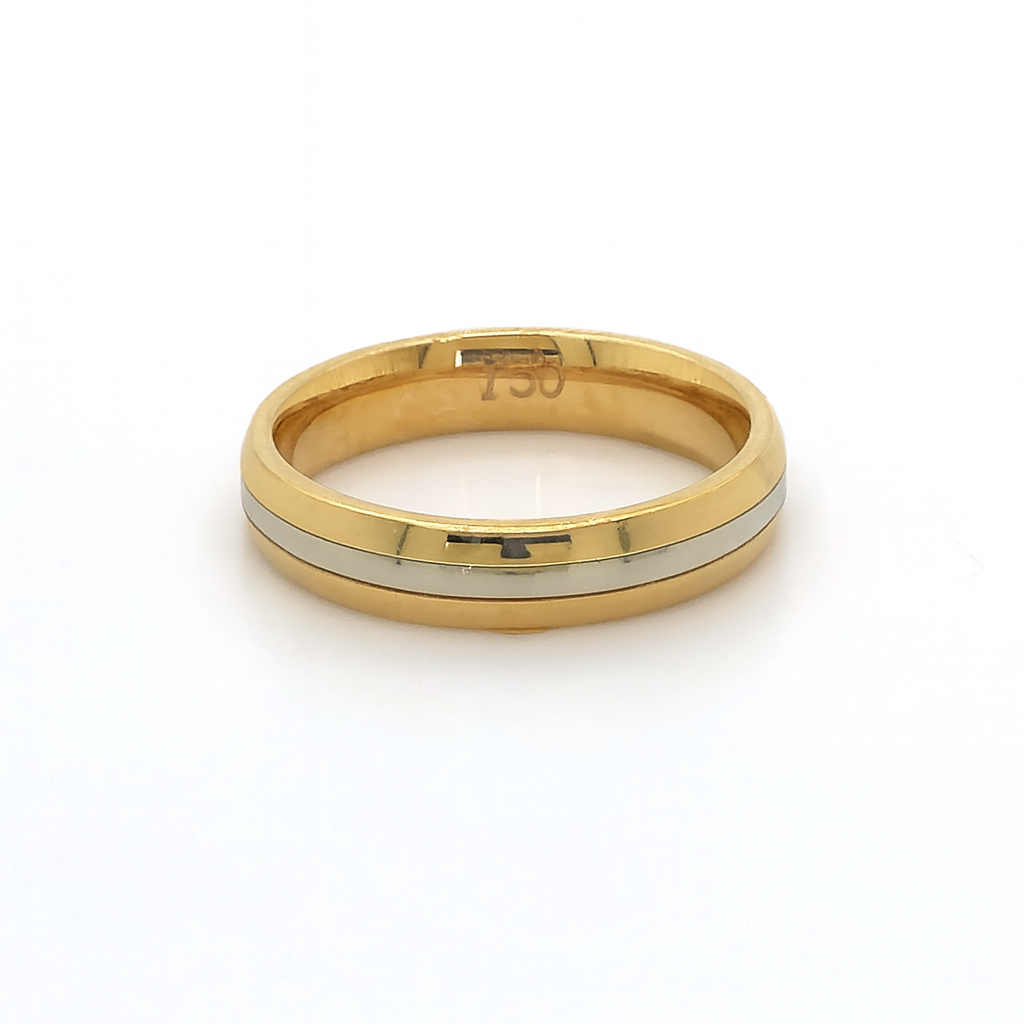 18K 2T MATTE FANCY BAND