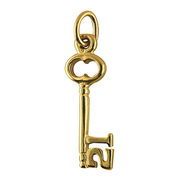 21 Key Charm 17mm x 7mm