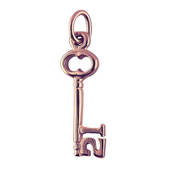 21 Key Charm 17mm x 7mm
