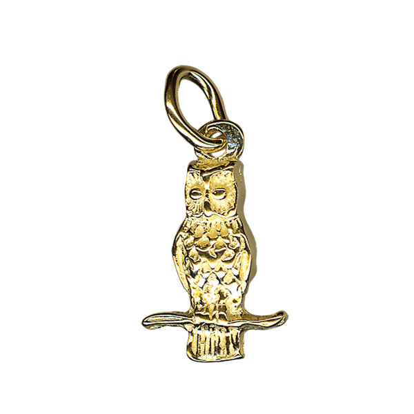 Owl Charm