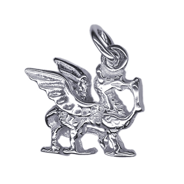Griffin Dragon Charm