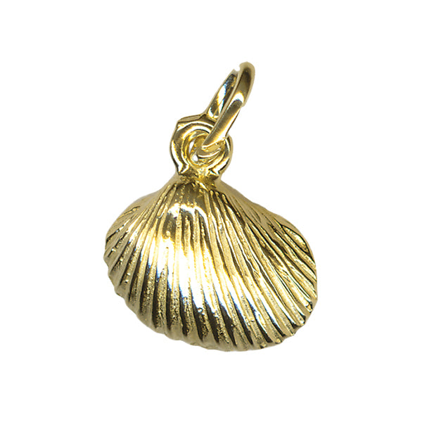 Shell Charm 10mm