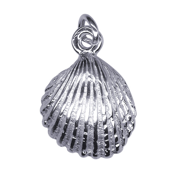 Shell Charm 15mm x 12mm