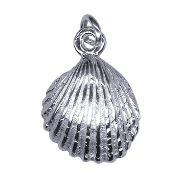 Shell Charm 15mm x 12mm