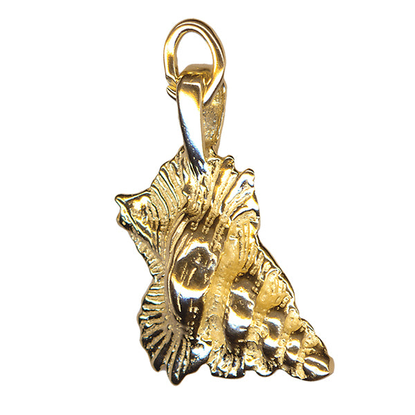 Shell Charm 20mm x 12mm