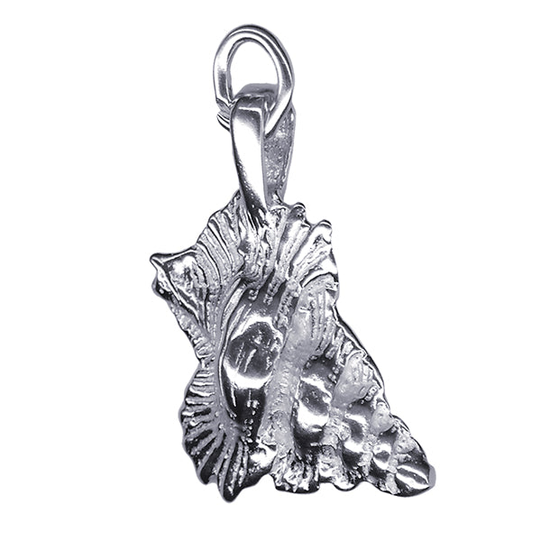 Shell Charm 20mm x 12mm