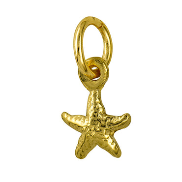 Starfish Charm