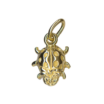 Ladybird Charm