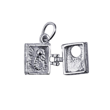 Book with Worm inside Charm