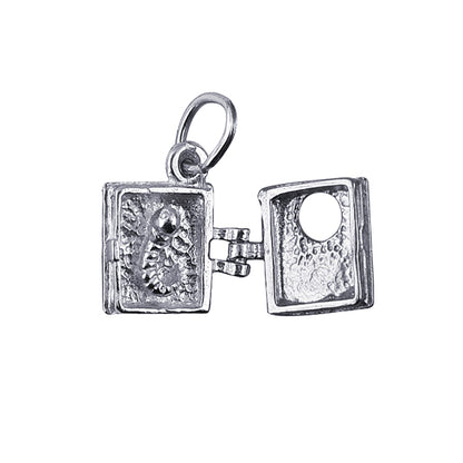 Book with Worm inside Charm