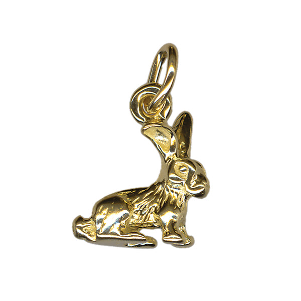 Rabbit Charm