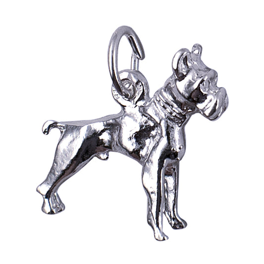 Boxer Charm