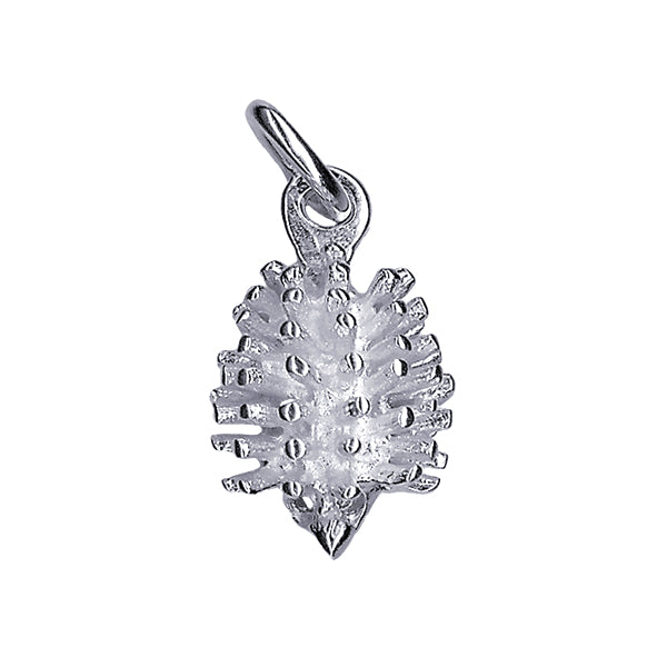 Echidna Charm