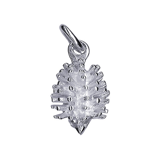 Echidna Charm
