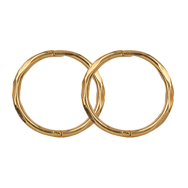 Faceted Sleeper Earrings